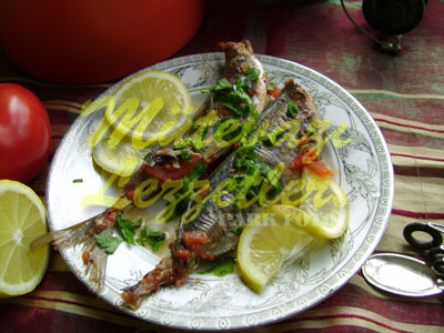 İstavrit Güvəçi